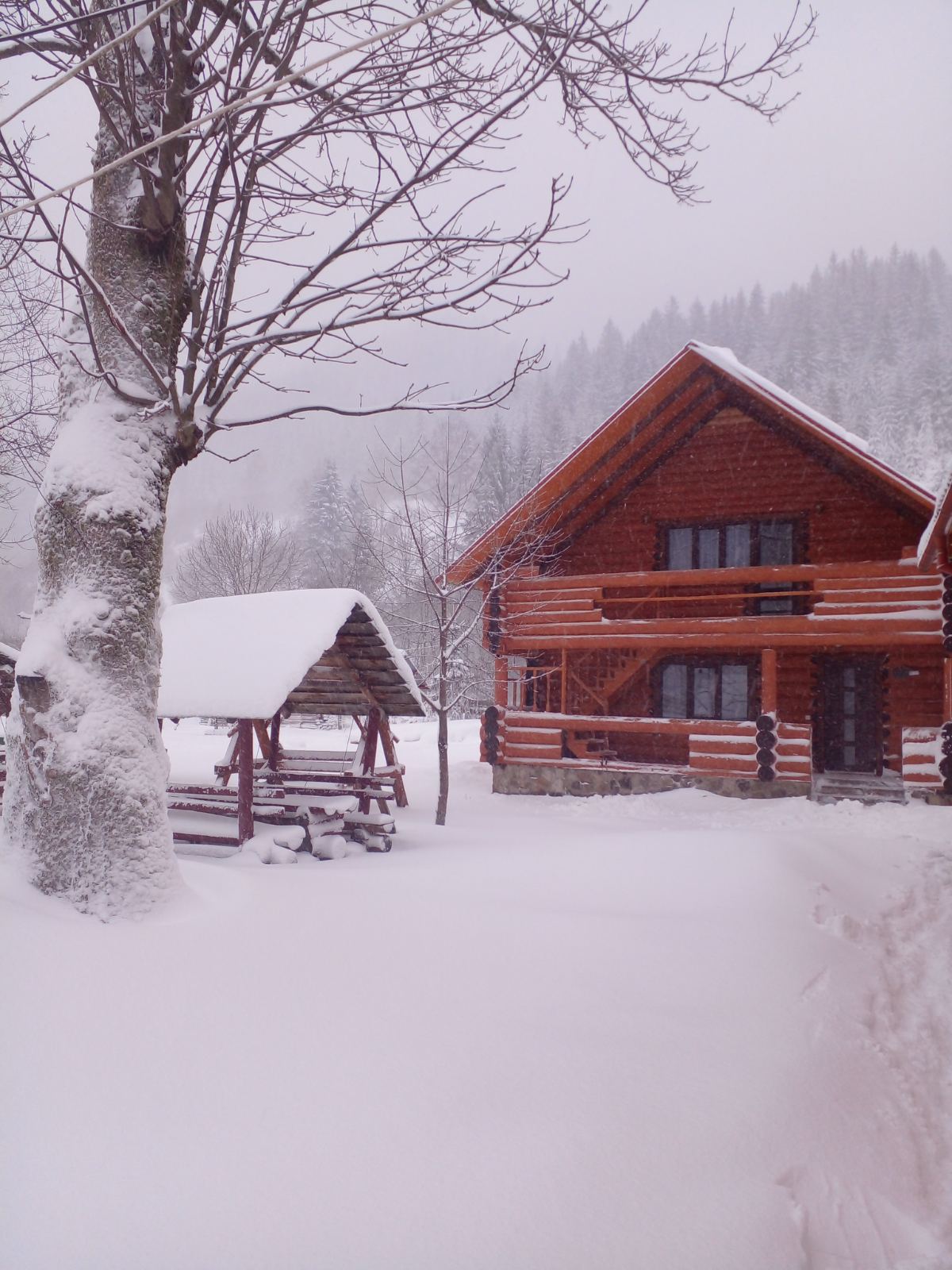 Синевирська Поляна